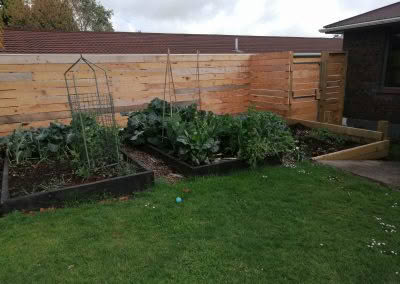 fence and planter boxes taranaki